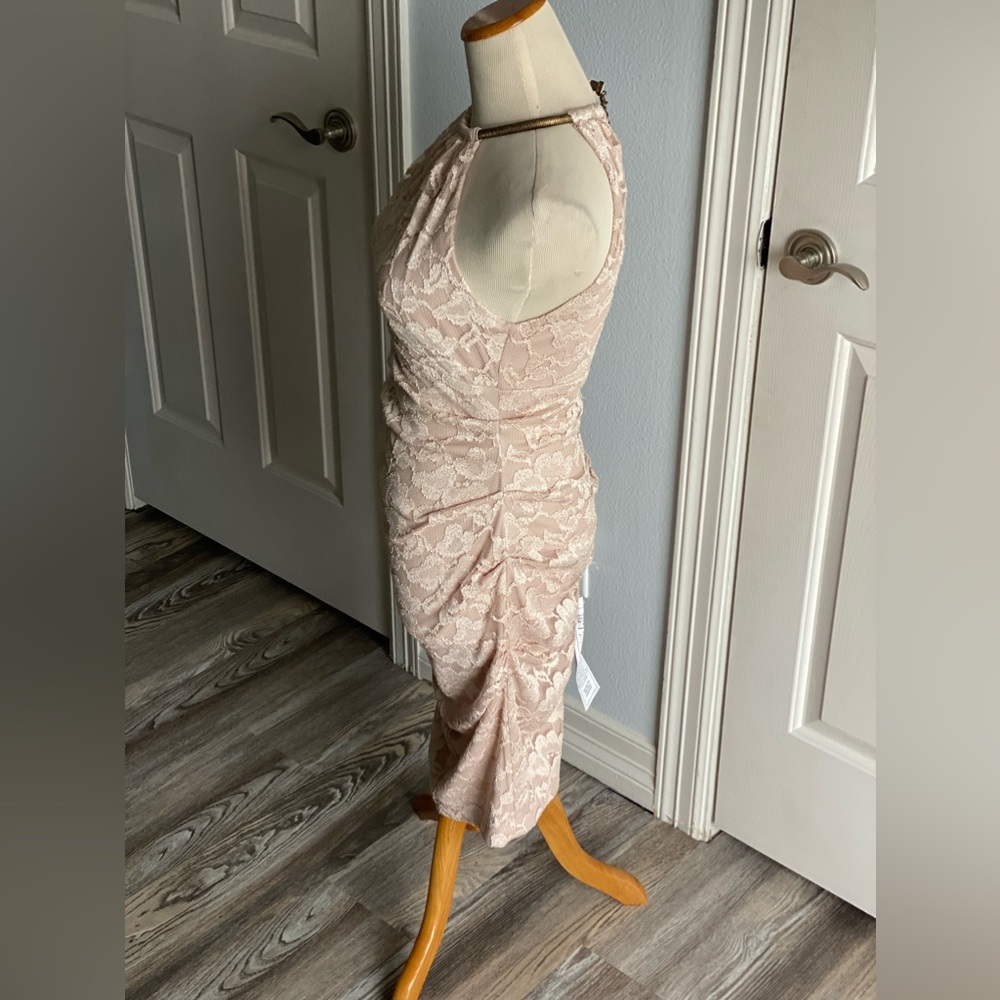 Cache Lace Dress - Picture 2 of 6